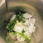 recette cocktail herbéo a base de plantes : ingrédients dans le blender