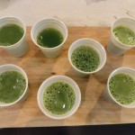 recette cocktail herbéo a base de plantes : des verres prêts pour une dégustation